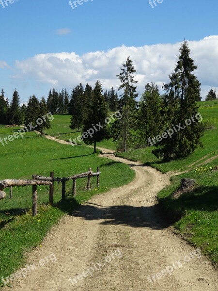 Tatra Bukovina Poland Tourism Trail Landscape