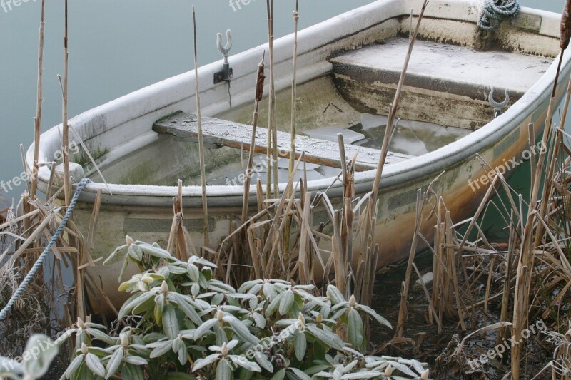 Rowing Boat Frost Rhododendron Free Photos