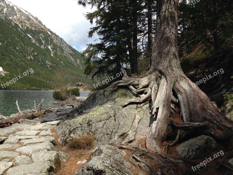 Poland Mountains Tatry Morskie Oko Nature