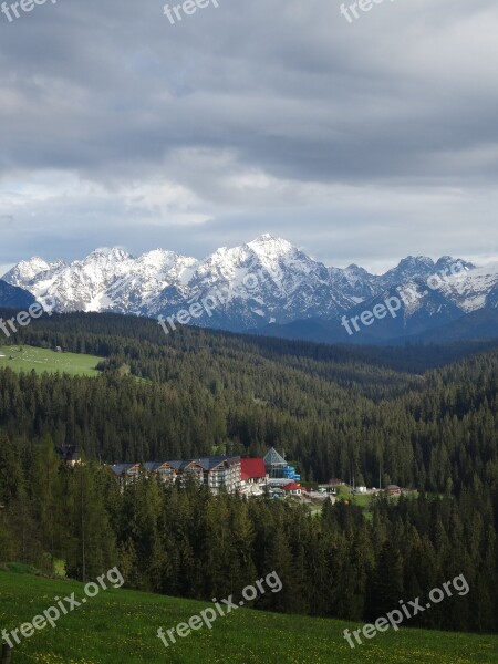 Tatra Bukovina Poland Tourism Landscape Nature