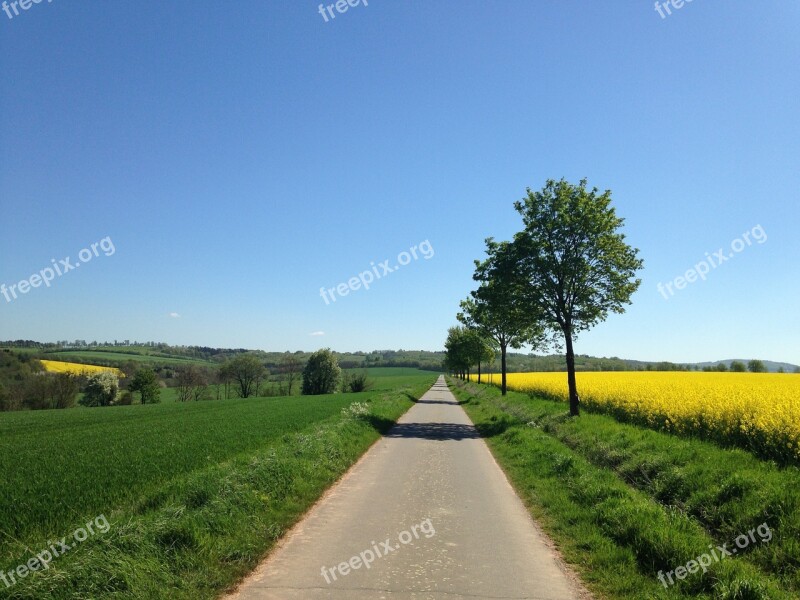 Away Field Of Rapeseeds Landscape Free Photos