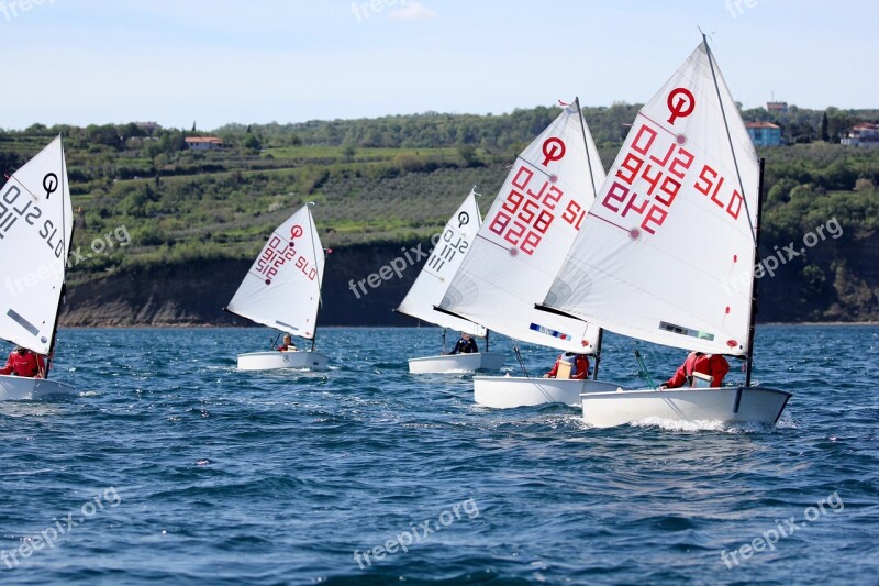 Sailing Optimist Sport Young Boat