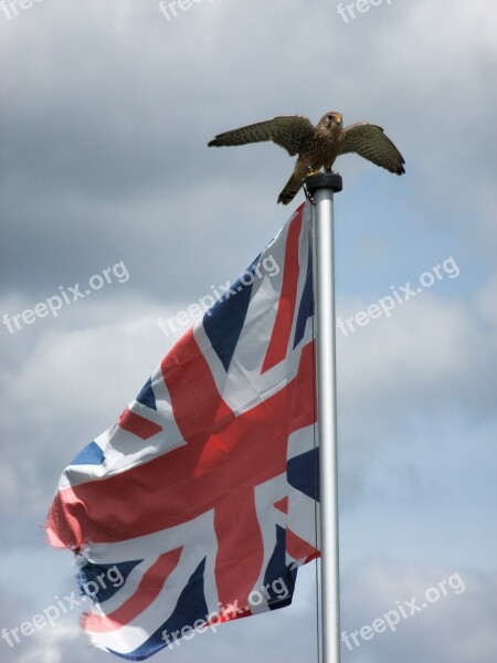 Patriotic British Eagle Flag Freedom