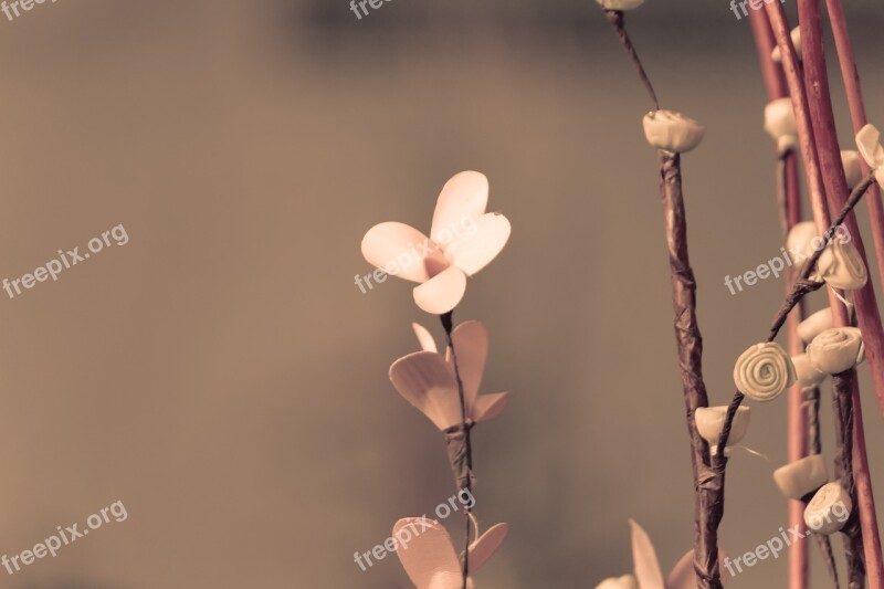 Flower Artificial Flower Beautiful Flower Free Photos