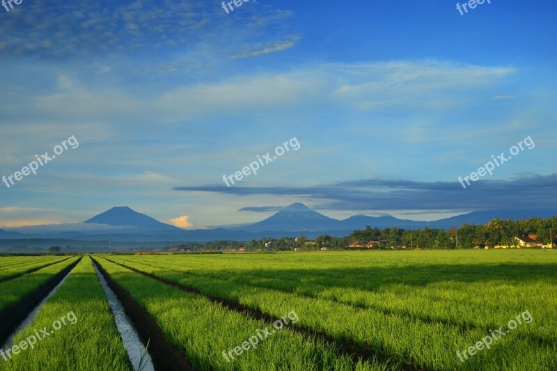 Landscape Mountain Farm Amazing Blue