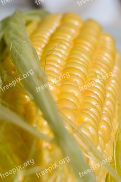 Corn Mat Closeup Grilling Free Photos