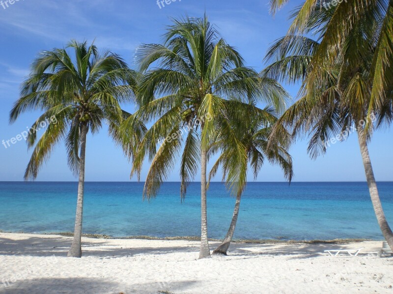 Beach Sea Holidays Water Sand