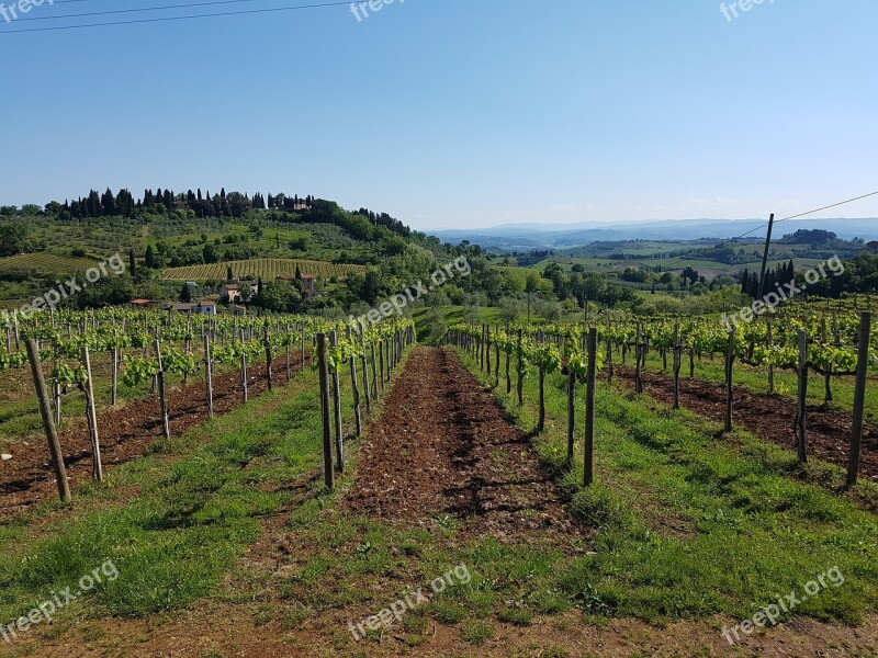 Wine Vines Chianti Tuscany Landscape