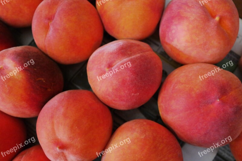 Peaches Summer Sweet Fruit Peach