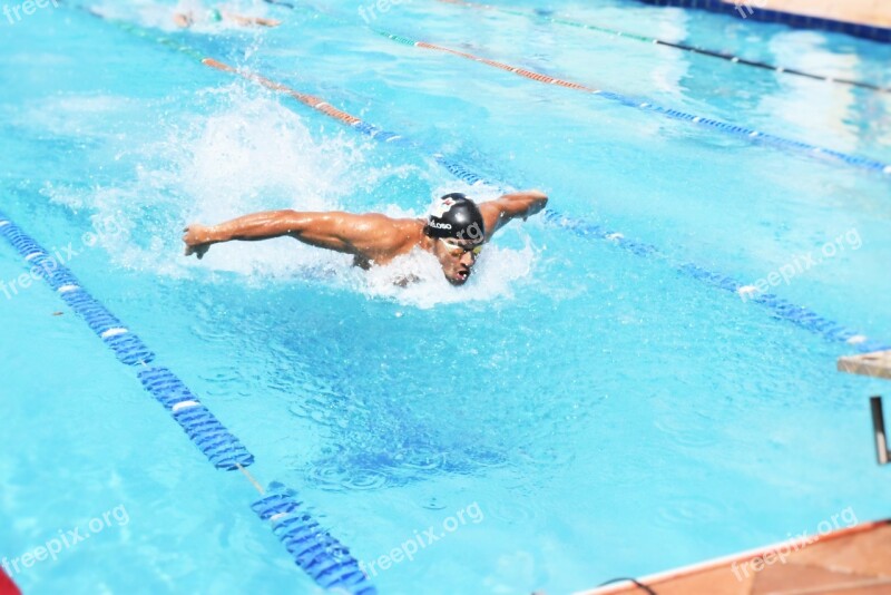 Competition Swimming Competing Butterfly Free Photos