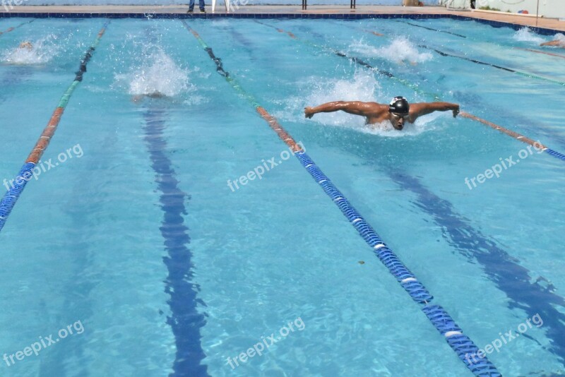 Competition Swimming Competing Butterfly Free Photos