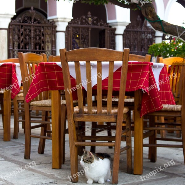 Outdoor Seating Cat Greece Taverna Free Photos