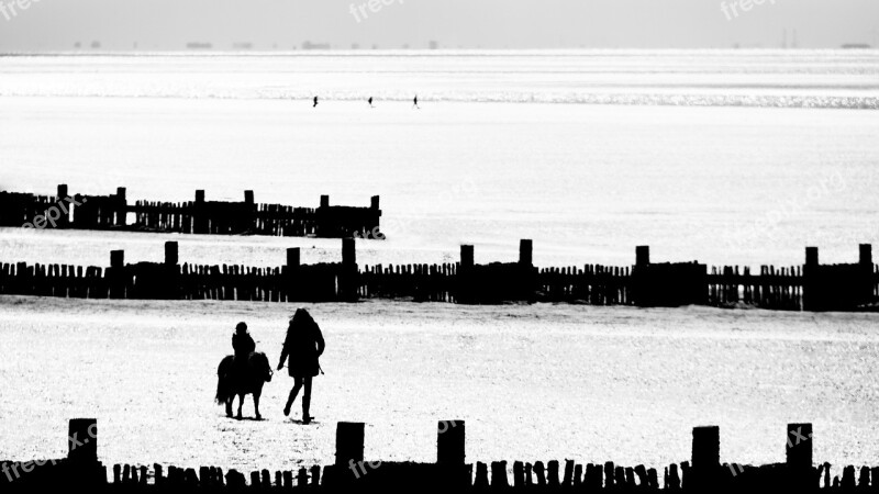 Hunstanton Beach Summer Donkey Ride England