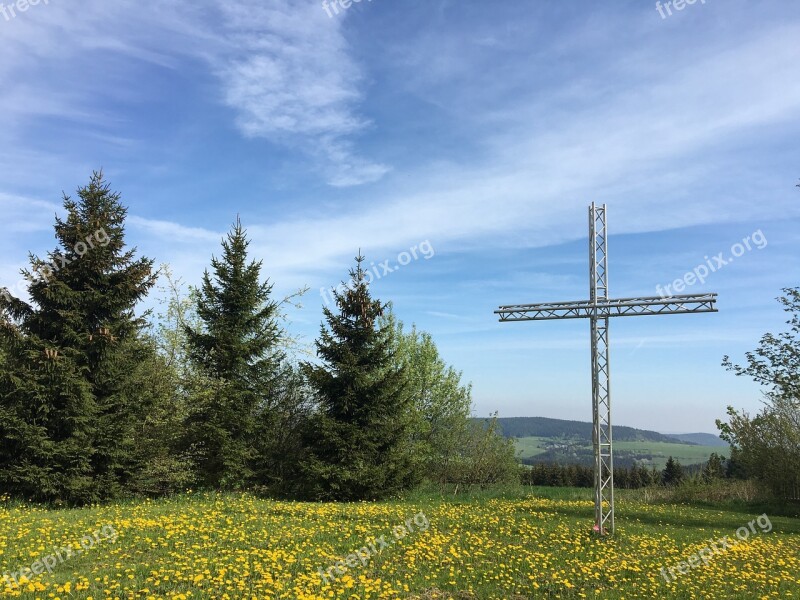 Cross Forest Ymca Hoheneiche Green