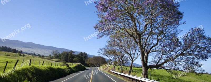 Landscape Road Green Field Blue Sky Serra