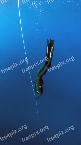 Freediving Diving Sea Underwater Water