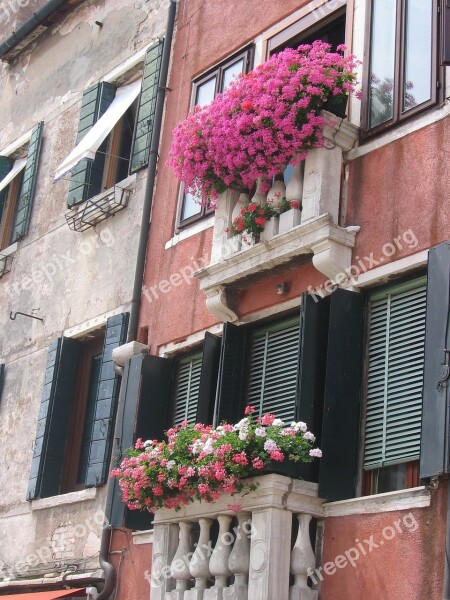 Flowers Window Garnished Balcony Home