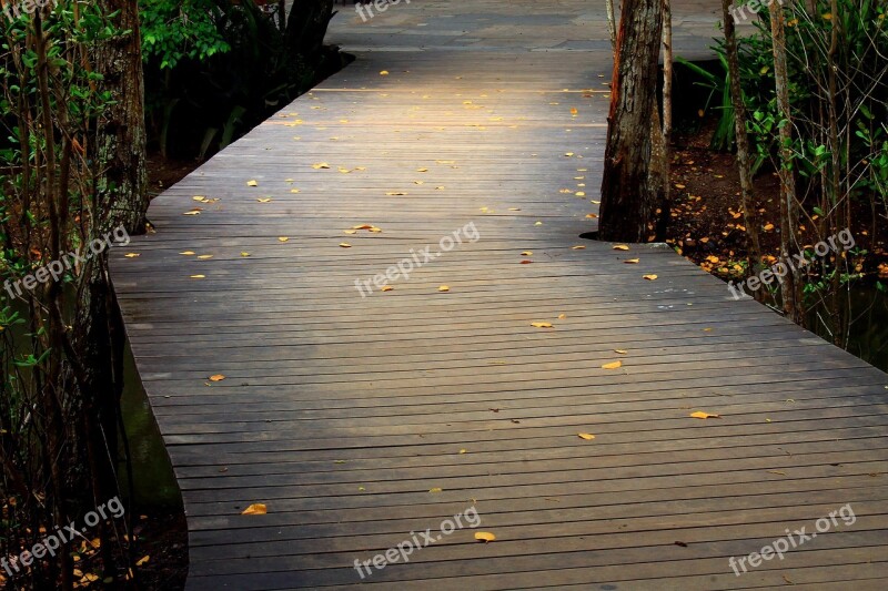 Bridge Path Passage Wood Free Photos