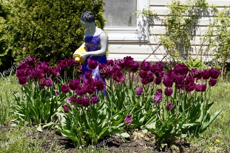 Garden Sculpture Lawn Statue Tulips Garden