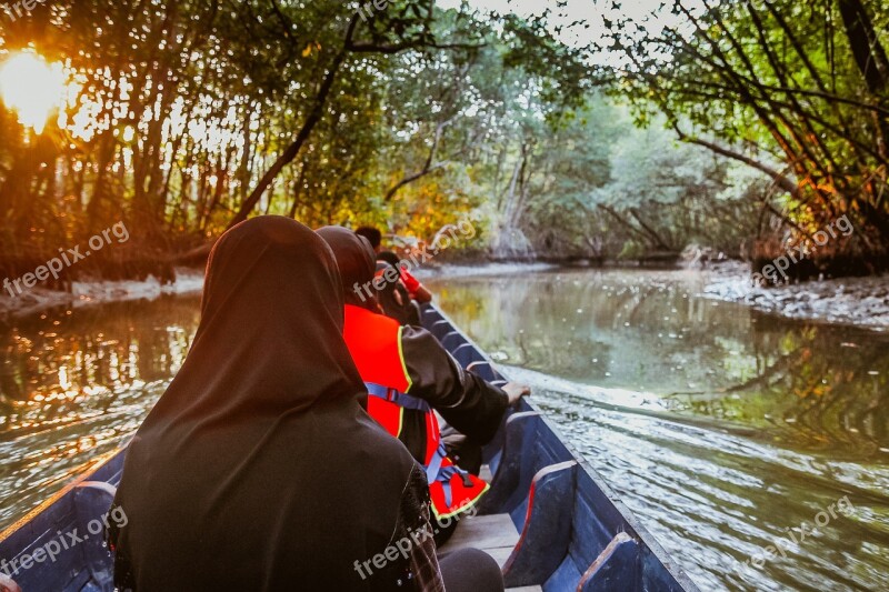 Mangrove Forest Canal Forest Mangrove Nature