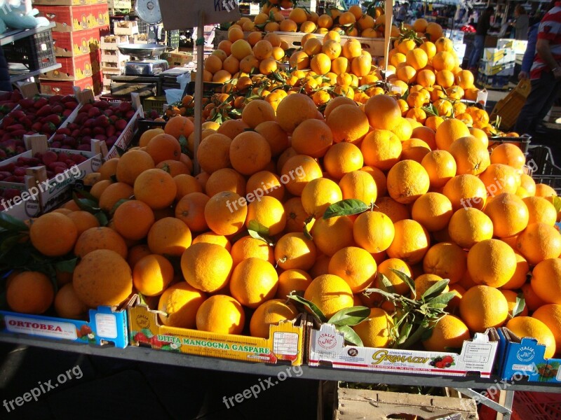 Catania Sicily Oranges Market Free Photos