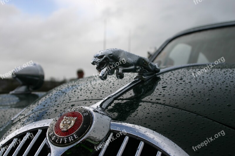 Jaguar Car Vintage Classic Ireland