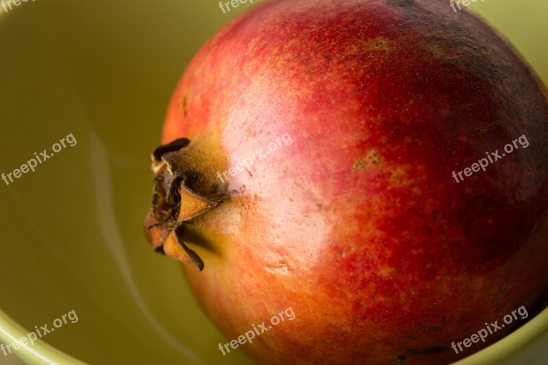 Pomegranate Fruit Juicy Red Macro