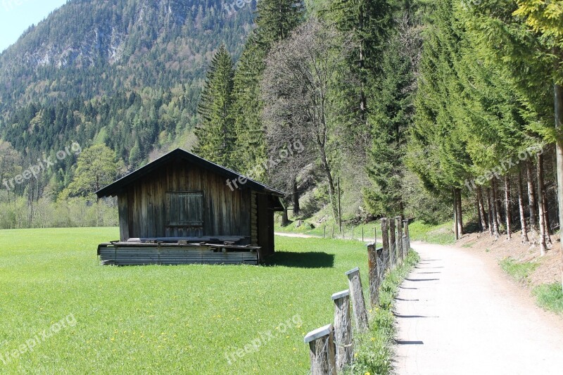 Alm Meadow Mountains Landscape Pasture