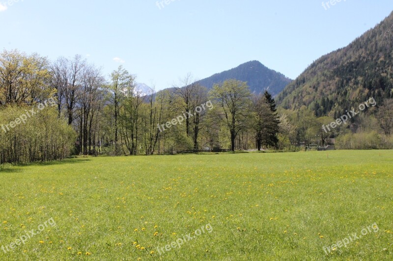 Alm Meadow Mountains Landscape Pasture