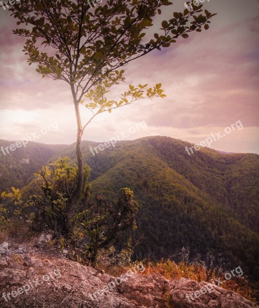 Landscape Sunset Sunset Landscape Hill Outdoors