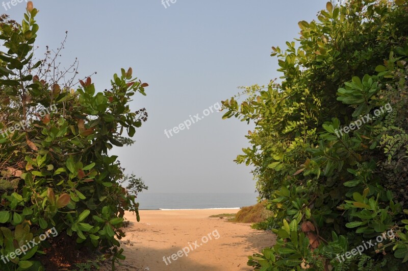 India Goa The Road To The Beach Free Photos