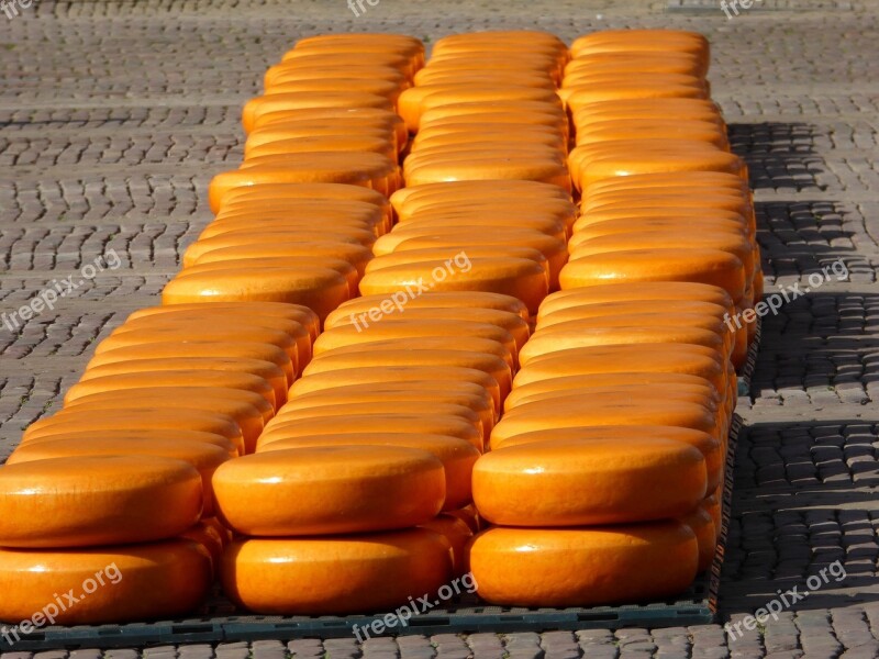 Alkmaar Cheese Market Cheese Gouda Yellow