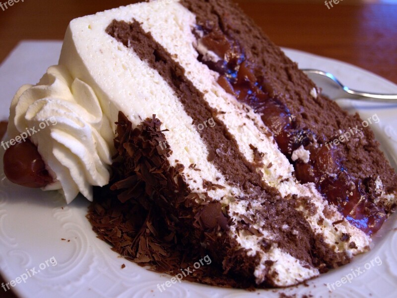 Black Forest Cake Pastry Shop Food Cream Grated Chocolate