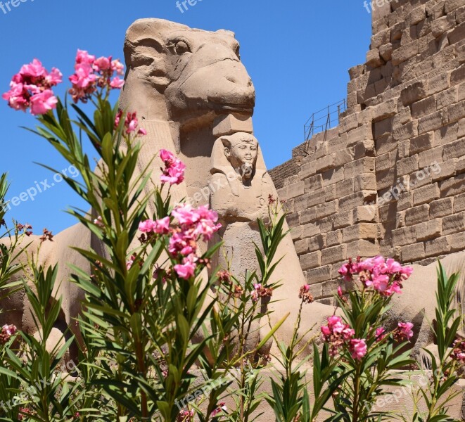 Karnak Temple Luxor Egypt Sphinx