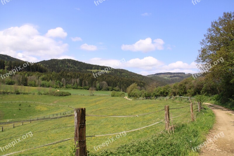 Landscape Meadow Summer Nature Tree