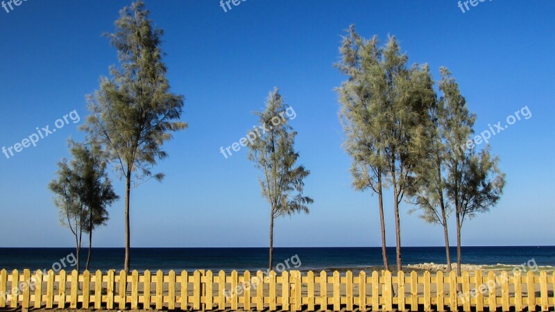 Cyprus Ayia Triada Beach Trees Fence