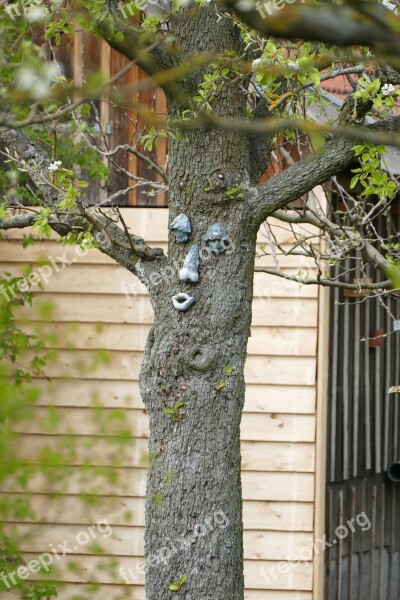 Tree Face Original Garden Fruit Tree Funny