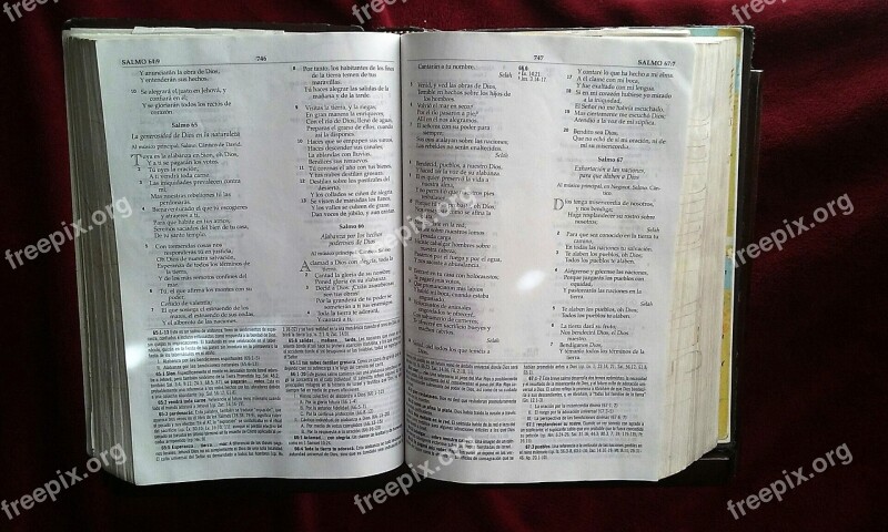 Bible Faith Book Holy Jesus