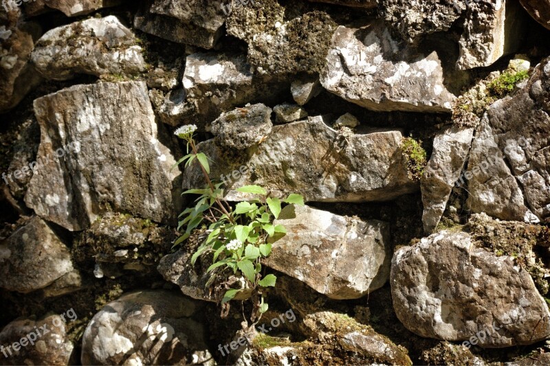 Quarry Stone Wall Texture Background Pattern