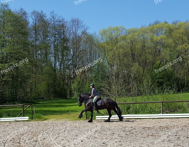 Friese Horsewoman Gallop Equestrian Rap