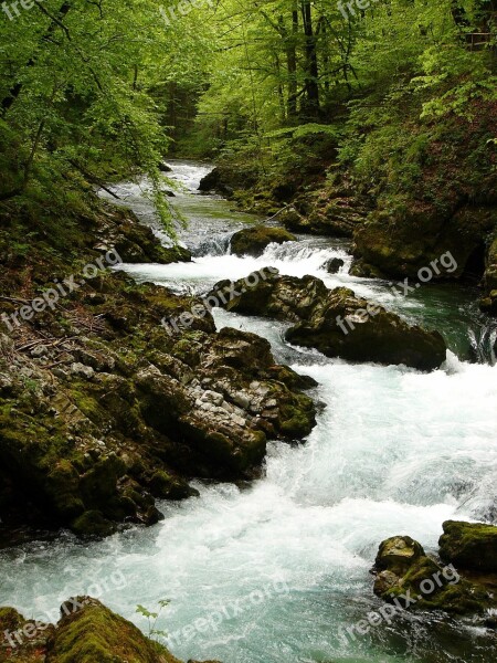 White River Creek Cliff Nature Landscape