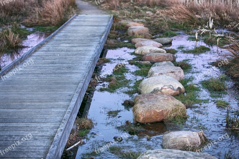 Choice Bridge Stepping Stones Stone Water