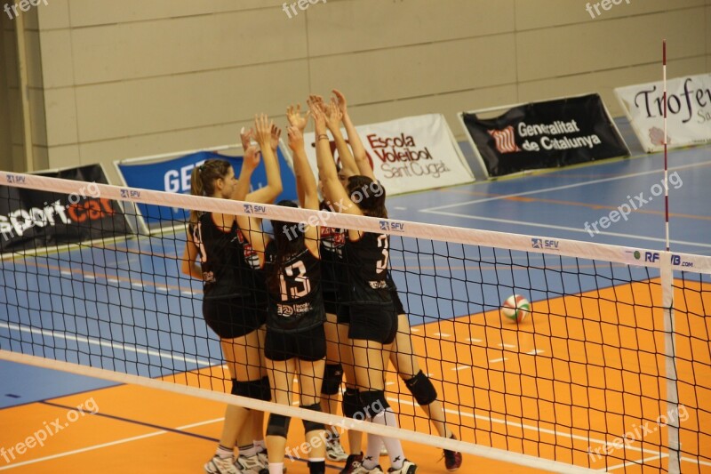 Volleyball Party Win Sport Women