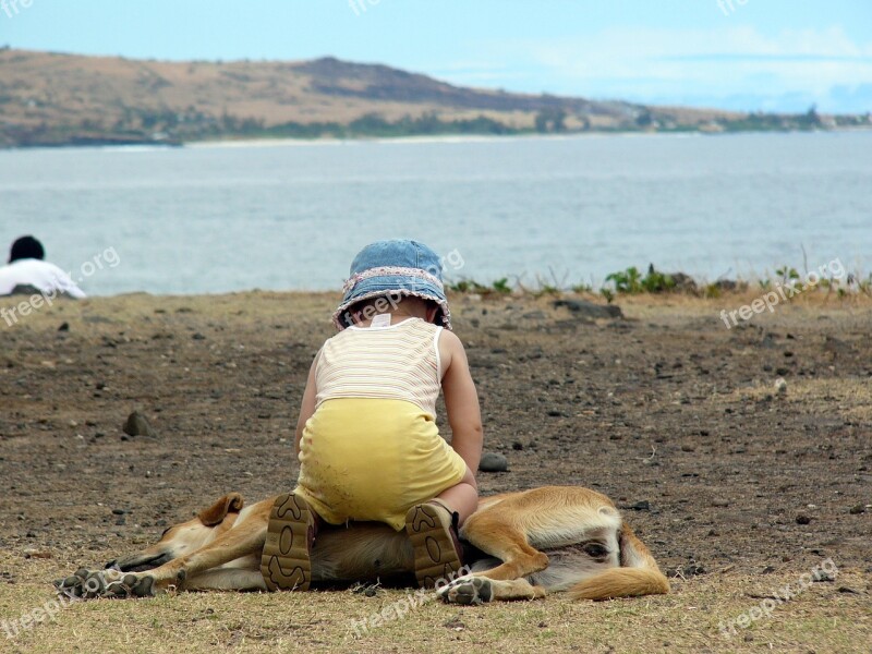 Child Animal Dog Child Friendly Friendship