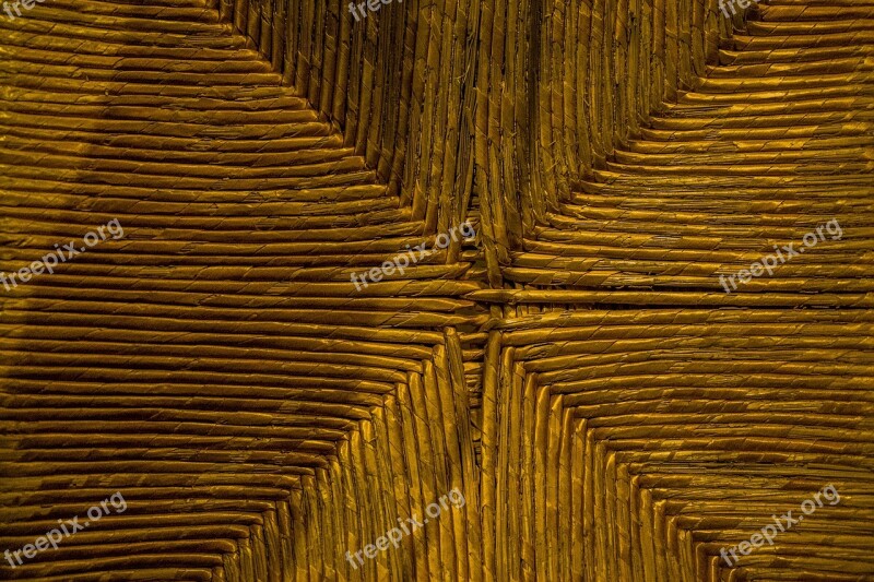 Macro Texture Wood Child Jou