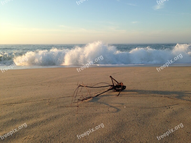 Driftwood Ocean Wave Sunset Beach