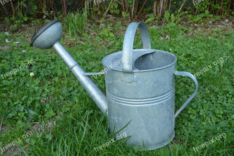 Watering Can Garden Vegetable Garden Free Photos