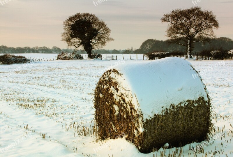 Snow Hay Bale Winter Nature