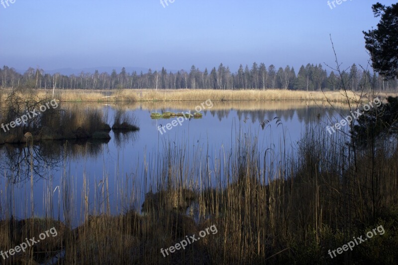 Riedsee Bad Wurzach Moor Moorland Marsh