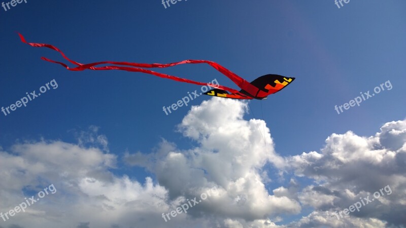 Kite Red Black Yellow Blue